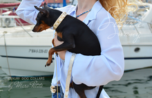 Load image into Gallery viewer, Designer Dog collar for toy