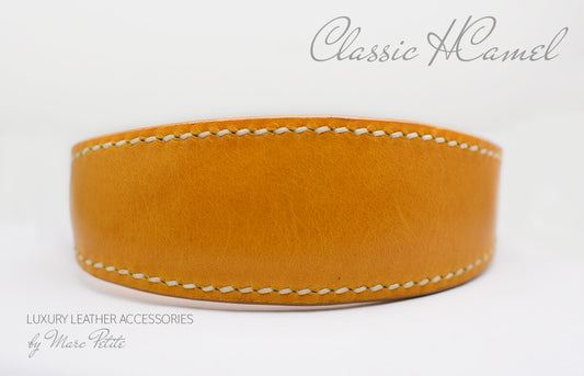 handmad dog collar