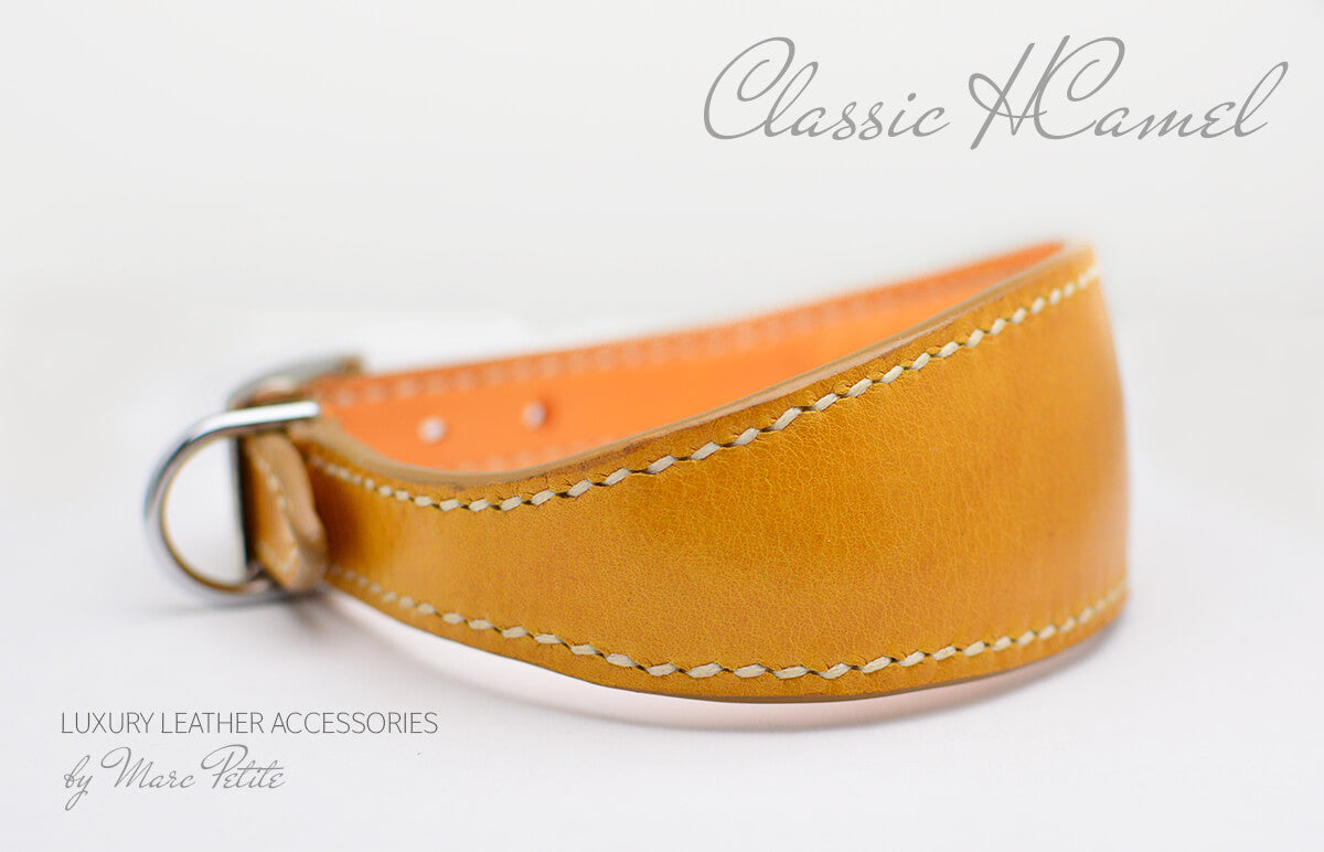 handmad dog collar
