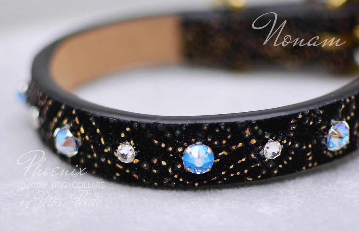 Toy Dog Collar