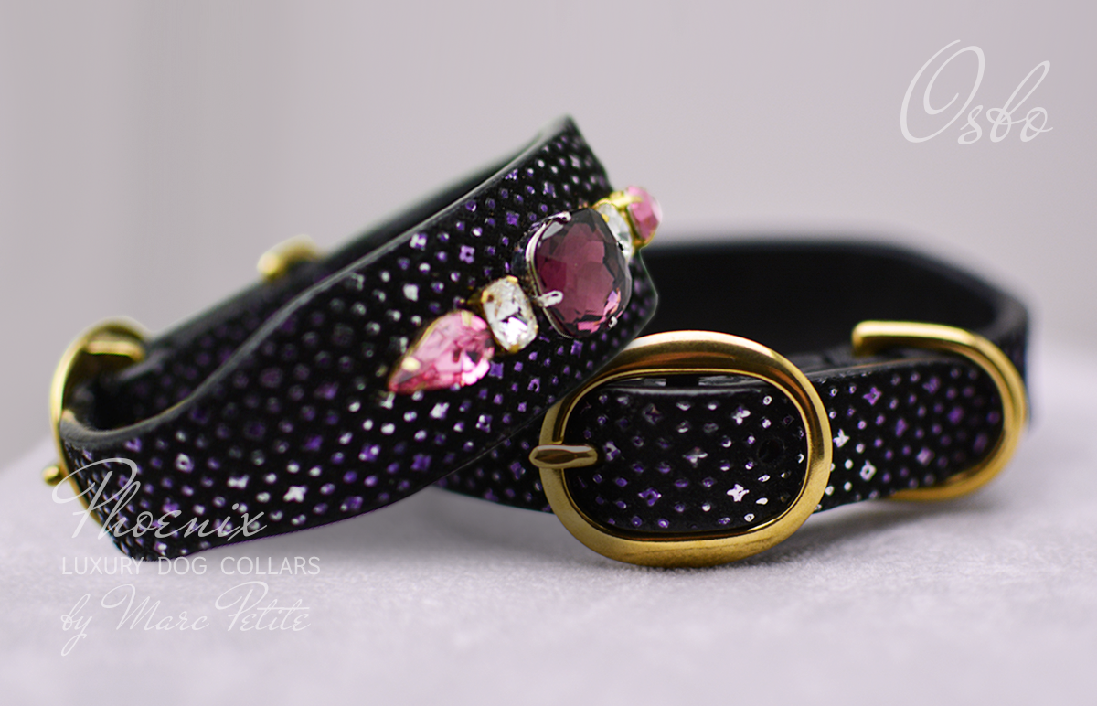 Royal Dog Collar