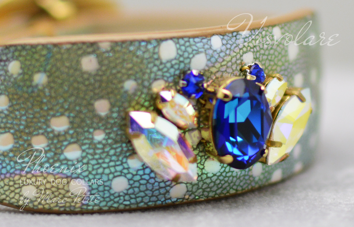Boutique Dog Collar