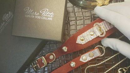 Cleo Collar + Leash