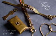 Load image into Gallery viewer, Fiery Romean Set