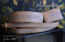 Load image into Gallery viewer, Swarovski Dog Collar &amp; Leash
