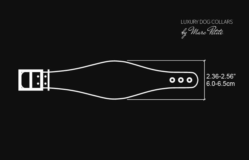 Crazzy Hound Dog Collar and Leash