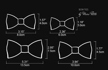 Load image into Gallery viewer, Pilot