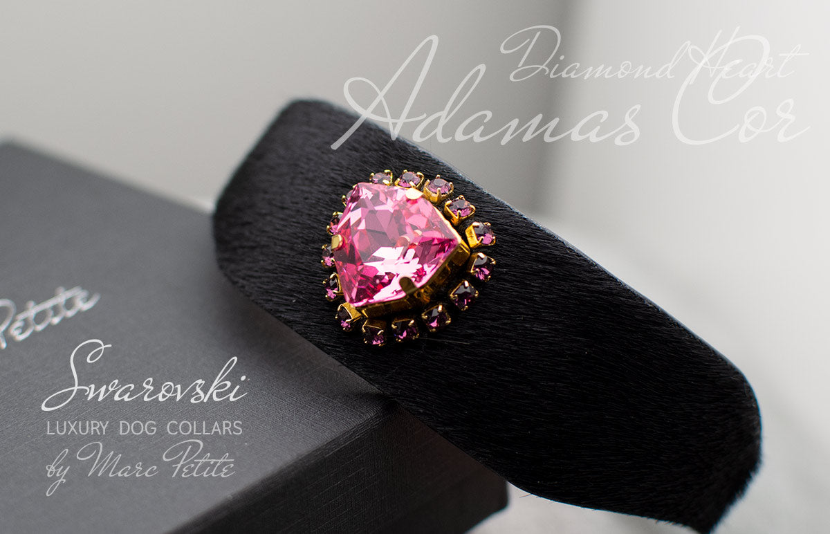 Designer Dog Collar