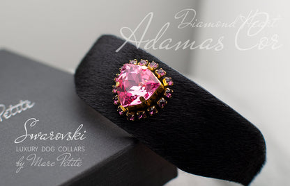 Designer Dog Collar
