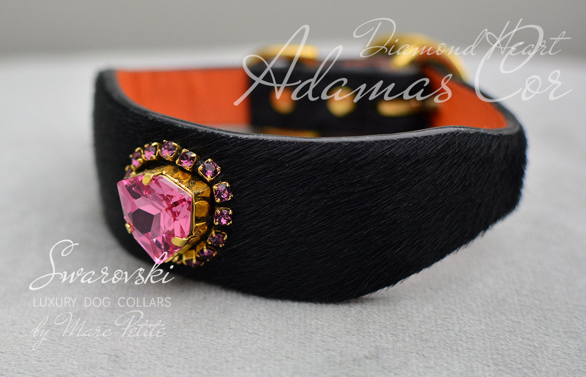 Luxury Dog Collar