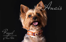 Load image into Gallery viewer, Luxury Dog Collar for Yorkies