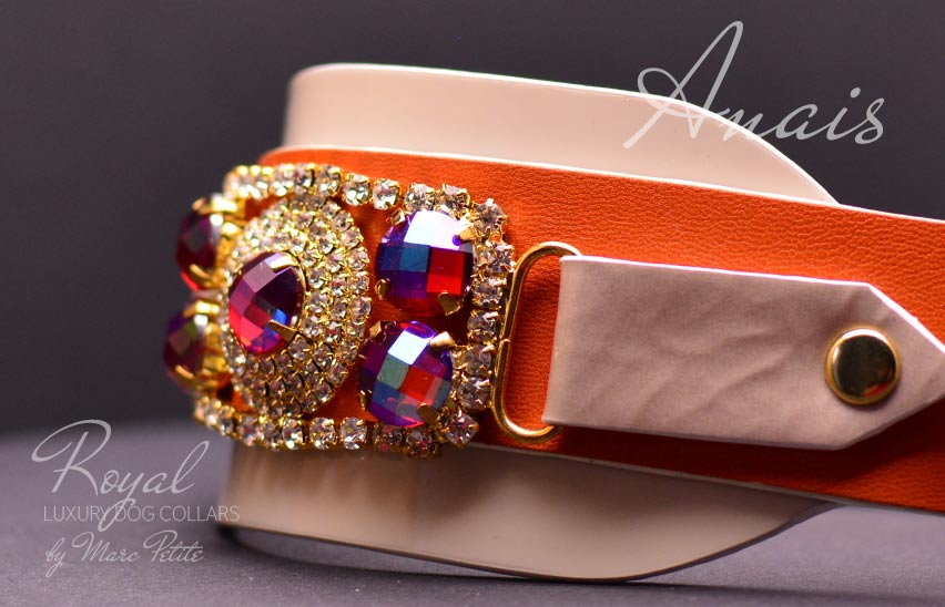 Chic Dog Collar