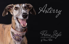 Load image into Gallery viewer, Diamond dog collar