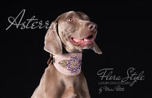 Load image into Gallery viewer, Designer Dog Collar