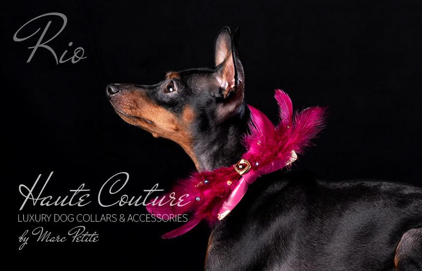 “Rio” - Luxury Dog Bow Tie