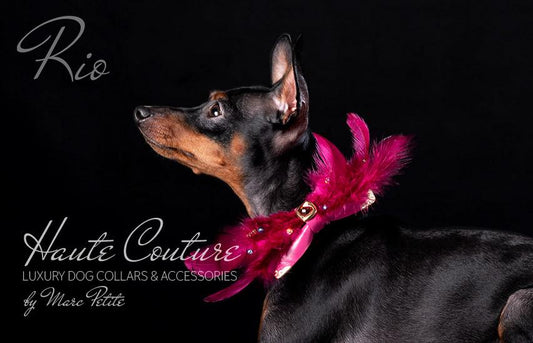 “Rio” - Luxury Dog Bow Tie