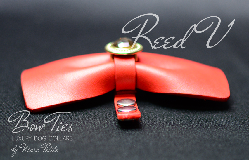 Reed V