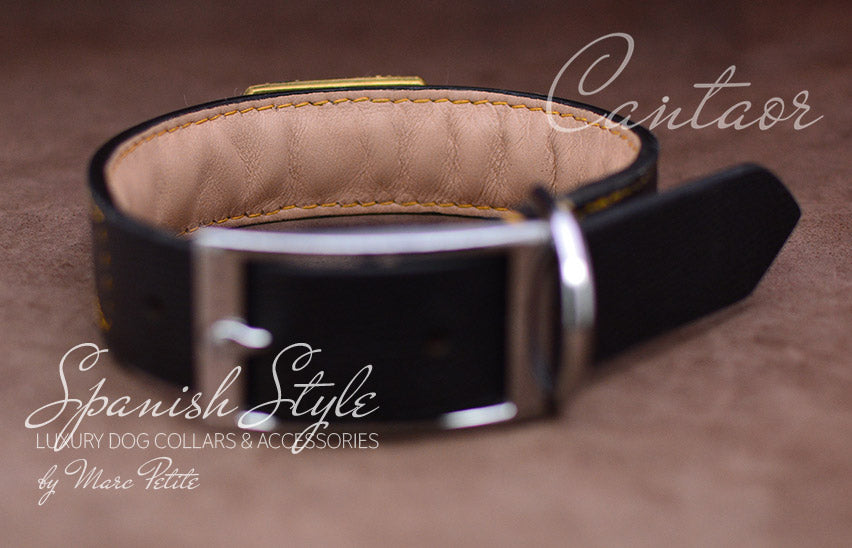 Soft Dog Collars