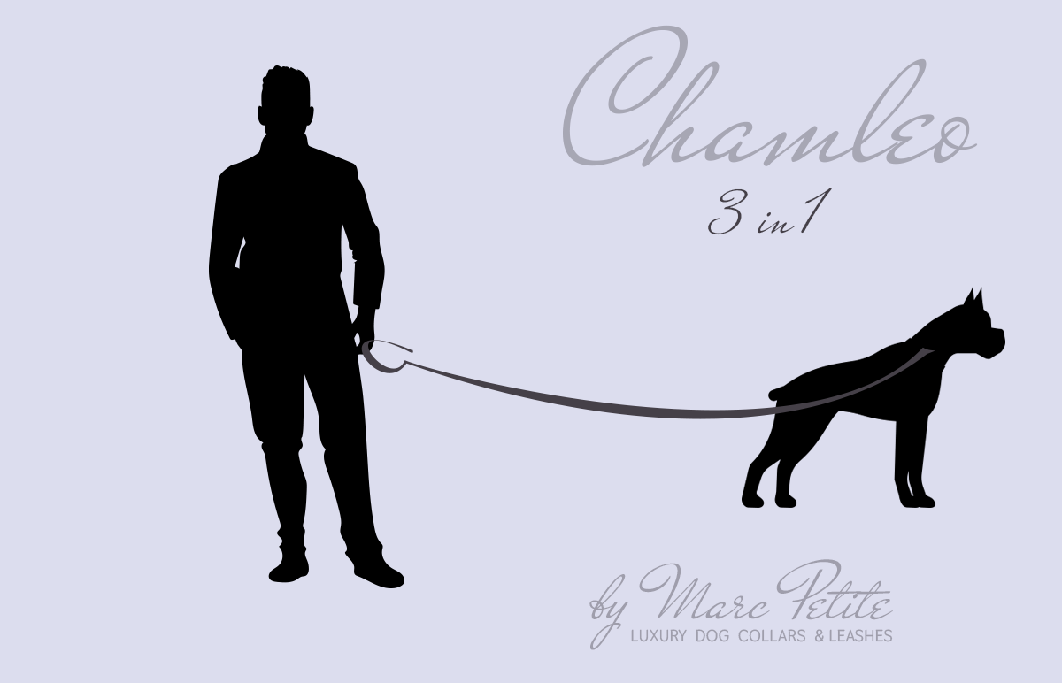 Luxury Dog Leash