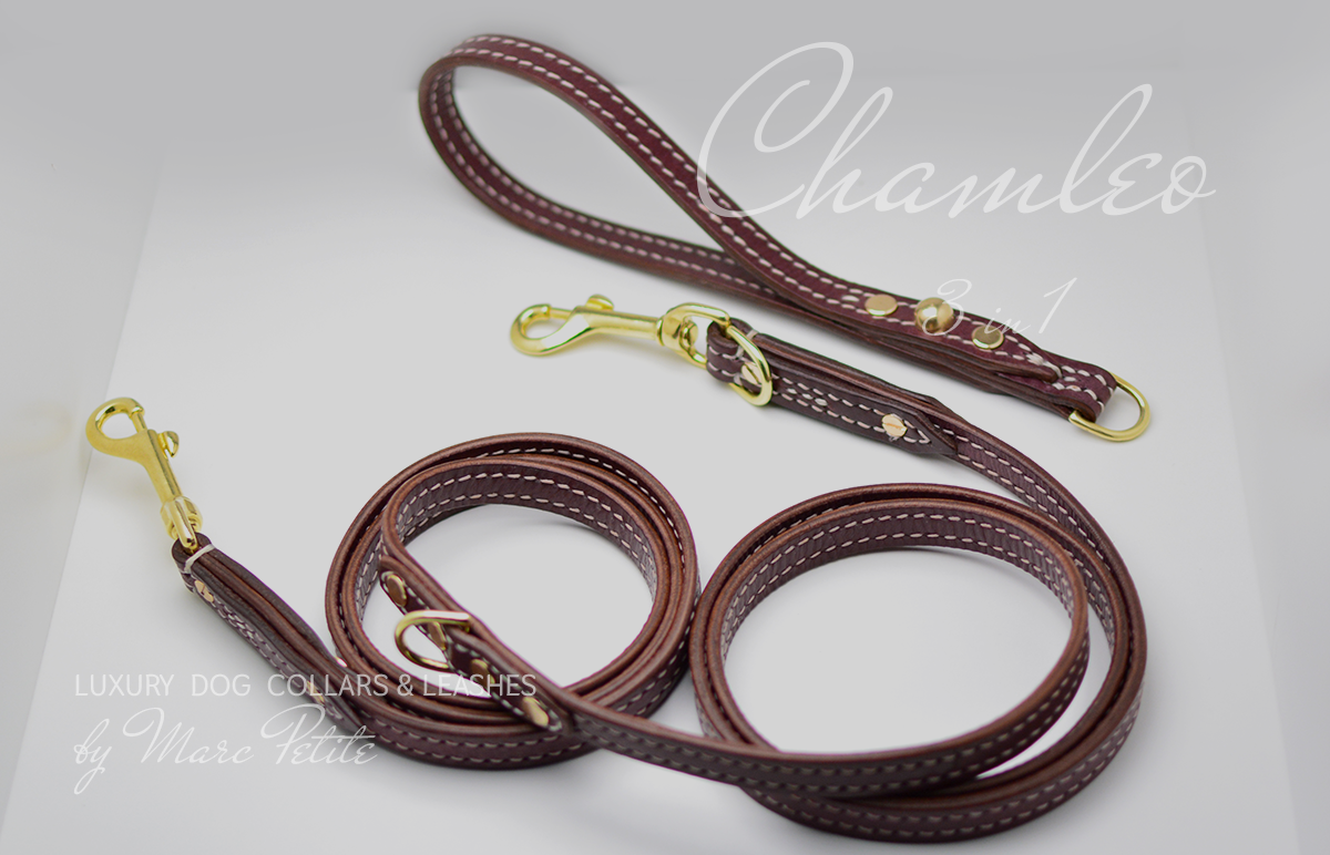 Dog Leash 3 in 1