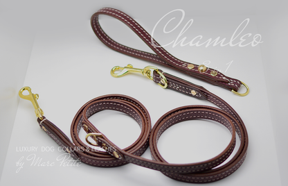 Dog Leash 3 in 1