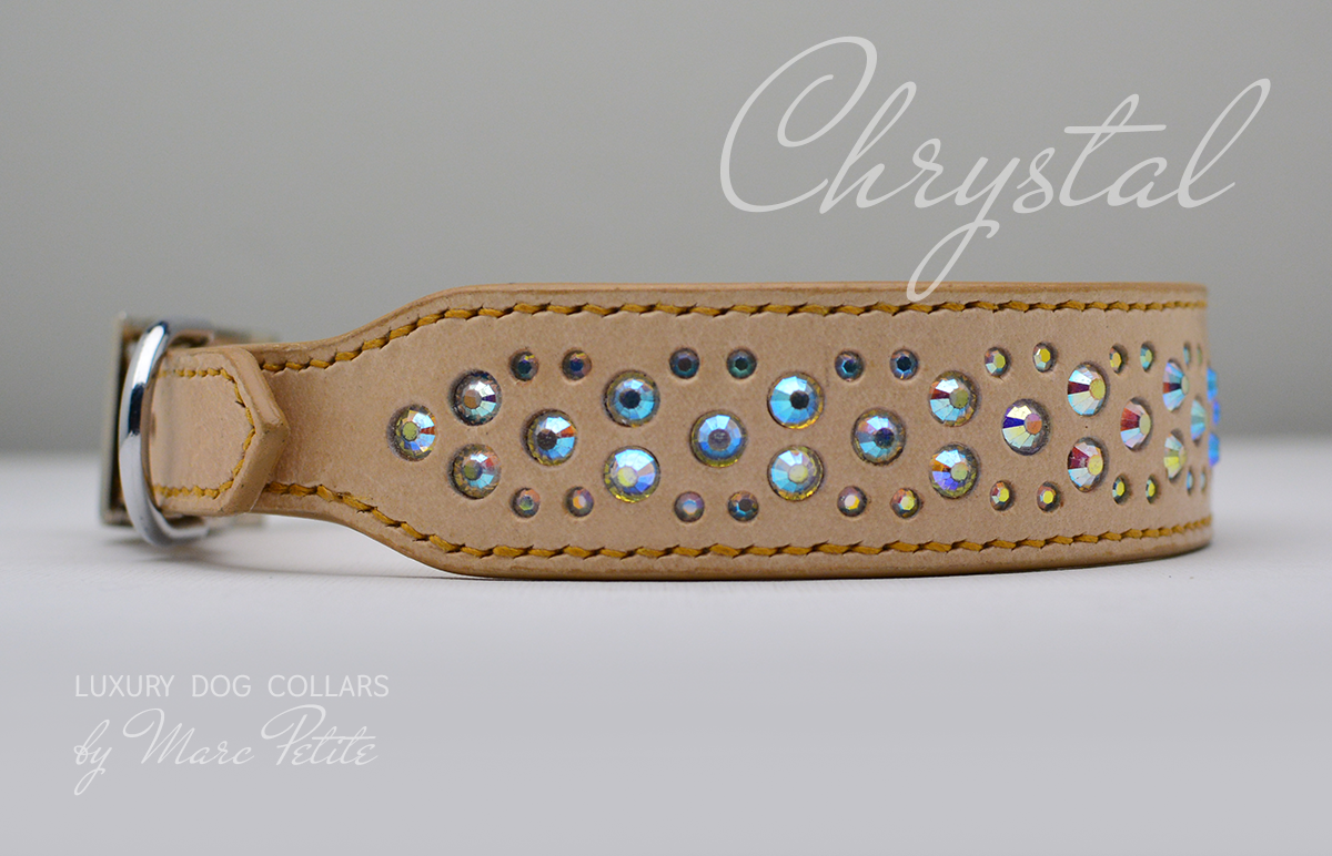 Exclusive Dog Collar