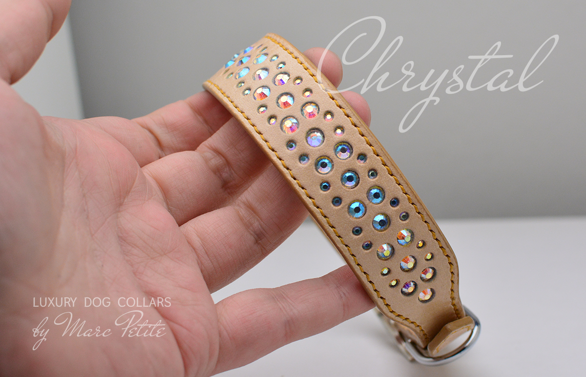 Unique Dog Collar