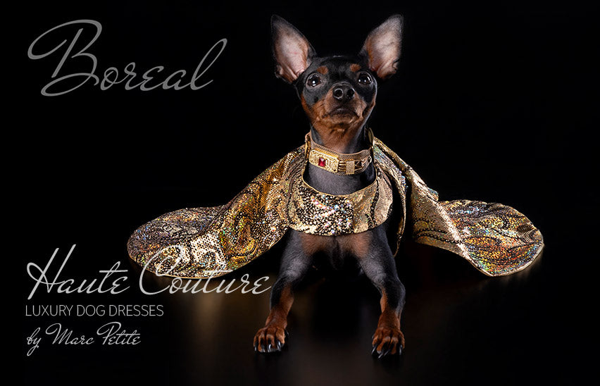 Wedding Dog Dress