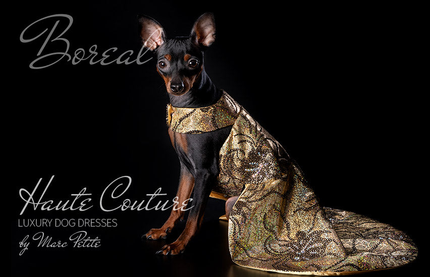 Desginer Dog Dress