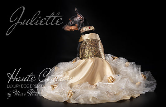 Dog Wedding Gold Dress