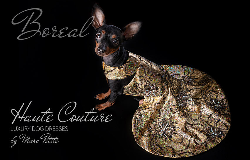 Swarovski Dog Dress