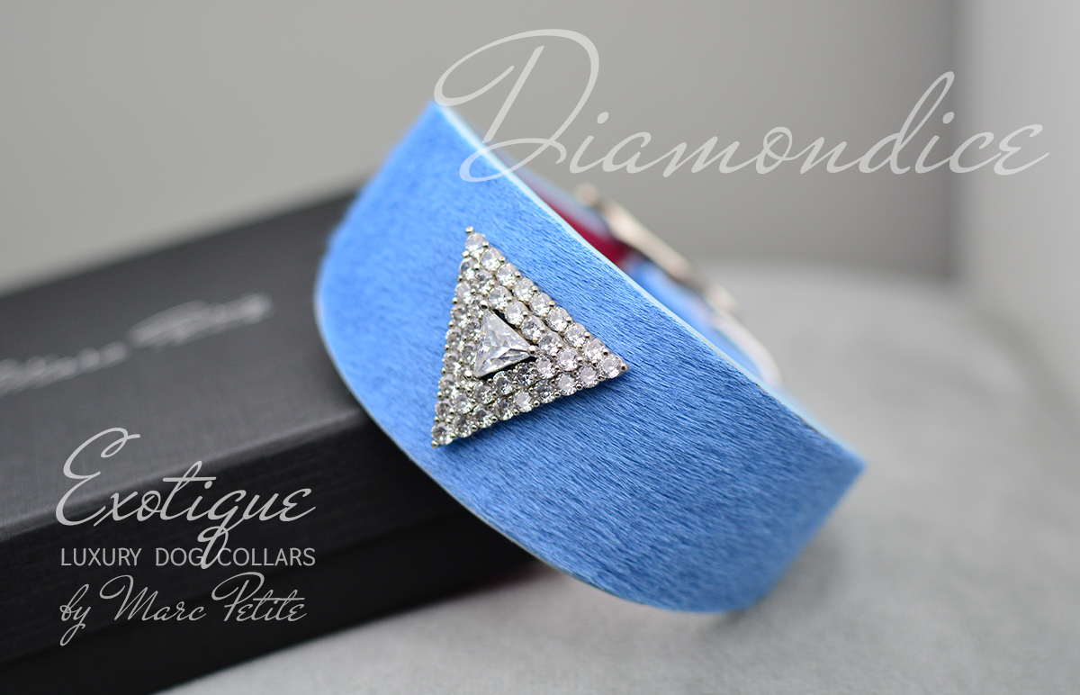 Fashion Dog Collar