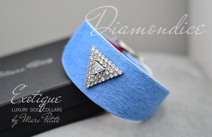 Fashion Dog Collar