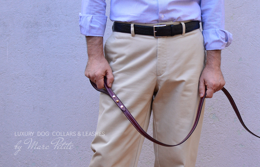 Luxury dog leash