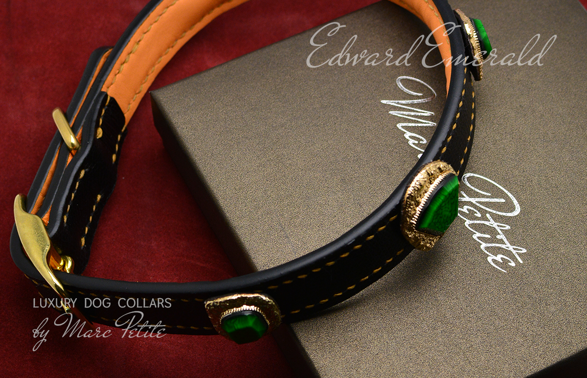 High end dog collar