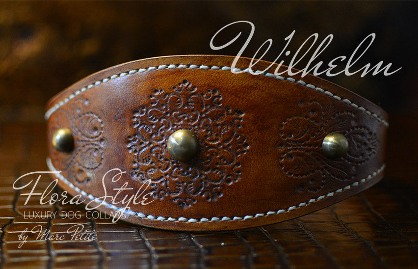 Engraved dog collar