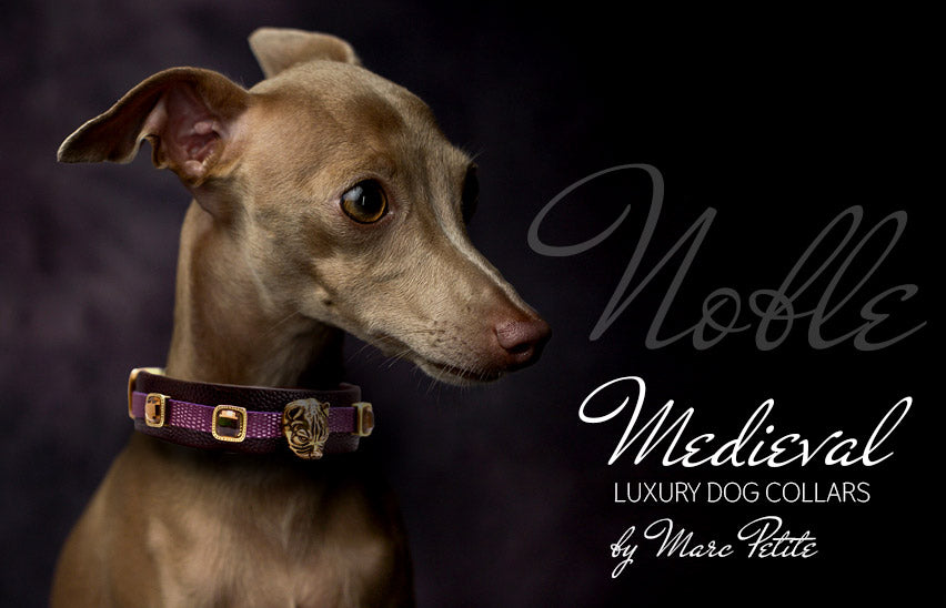 Small Dog Collars