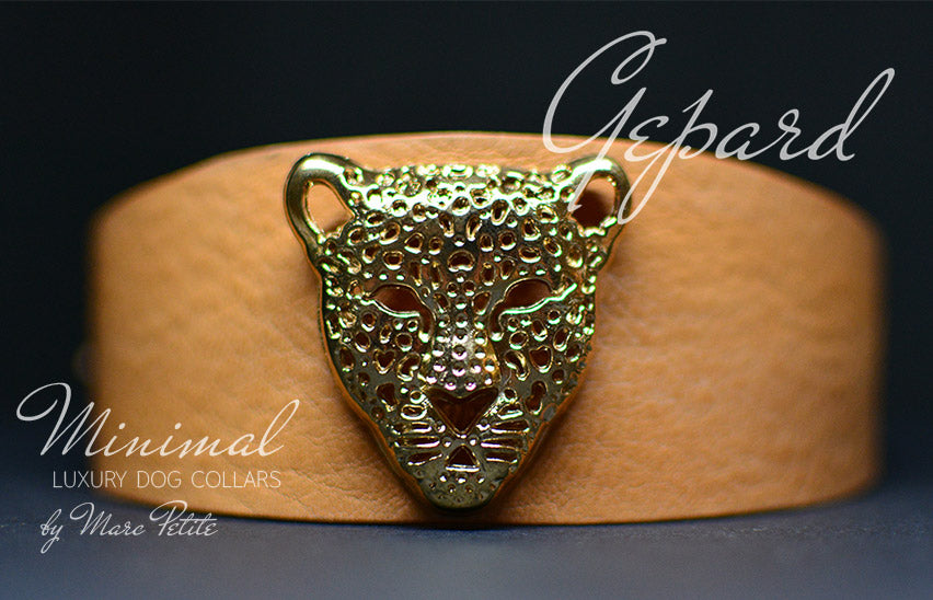 Greyhound collar