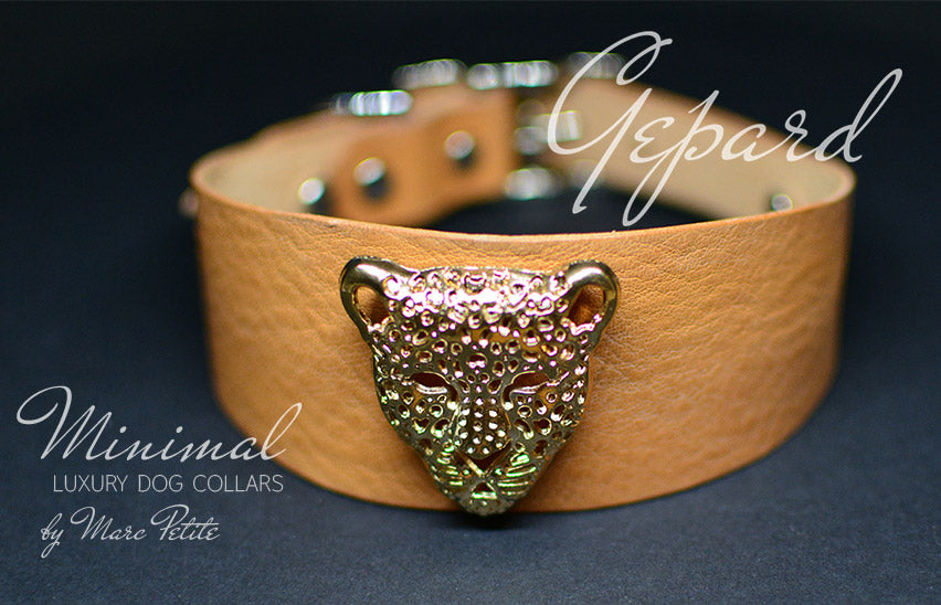 Hound Collar