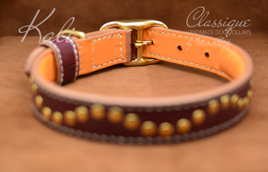 quality dog collar