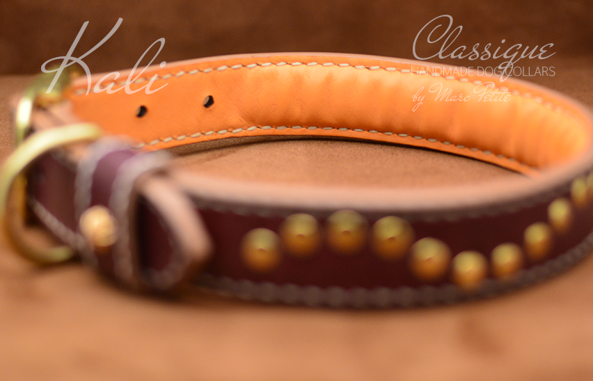 soft dog collar