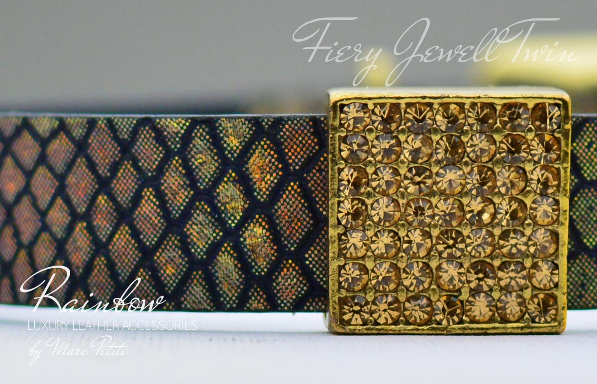 Fashion dog collars