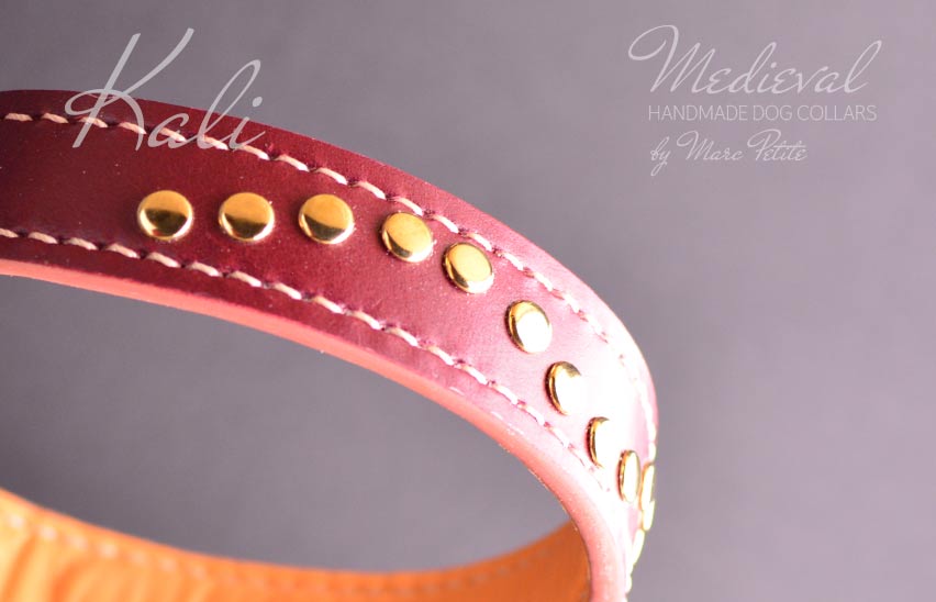High-end dog collar