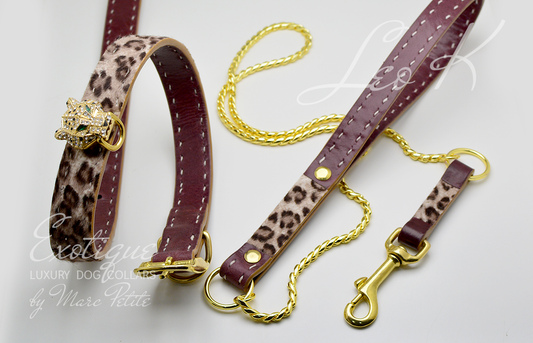 Luxury Dog Collar and Leash Leopard