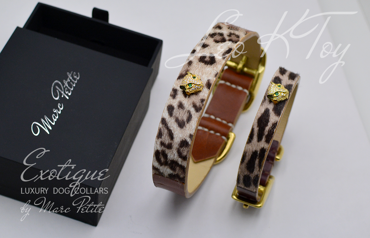Luxury Dog Collars
