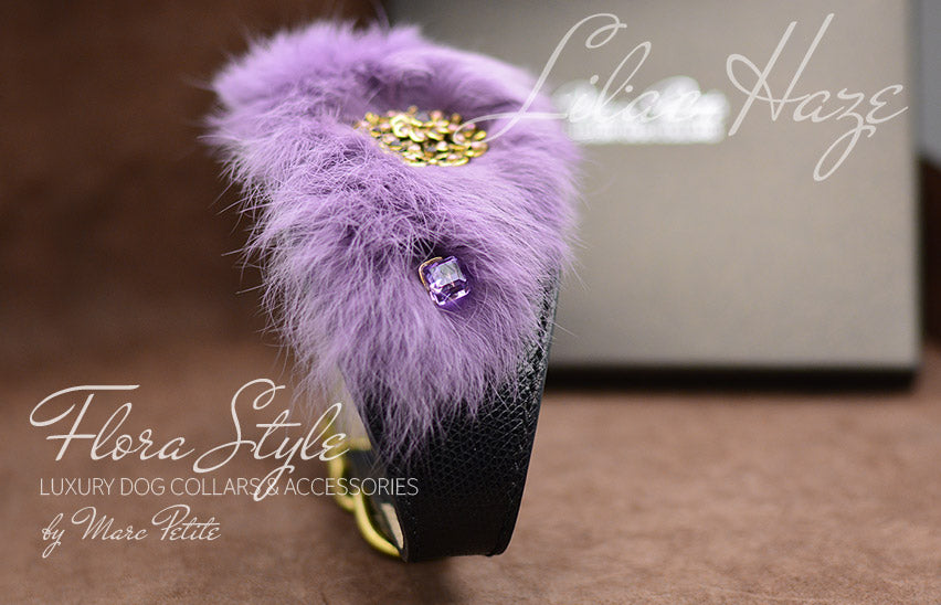 Designer Dog Collar