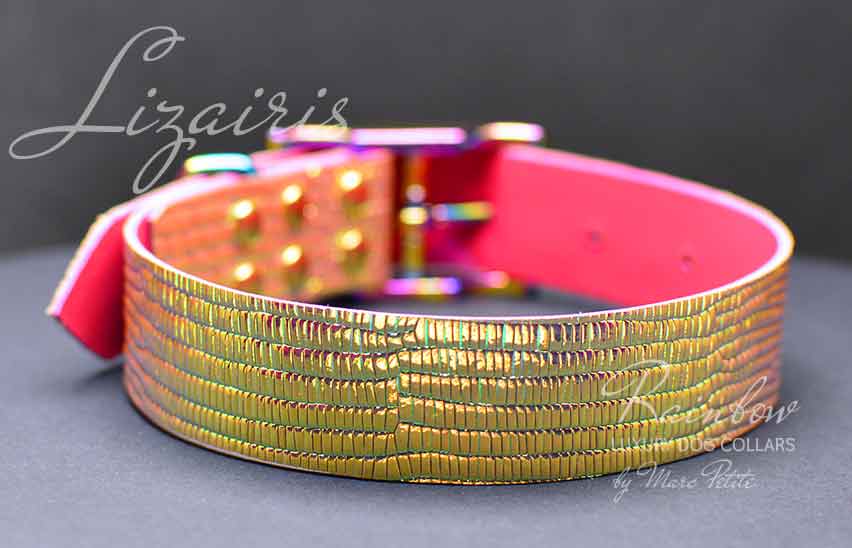 Fashion dog collar