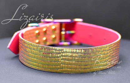 Fashion dog collar