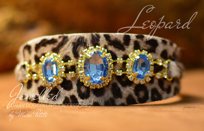 Designer dog collar