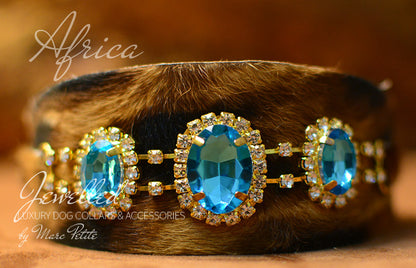 Leopard Dog Collar
